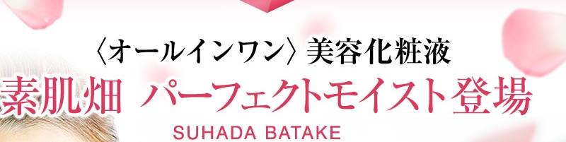 �f���� �p�[�t�F�N�g���C�X�g���T�C�g